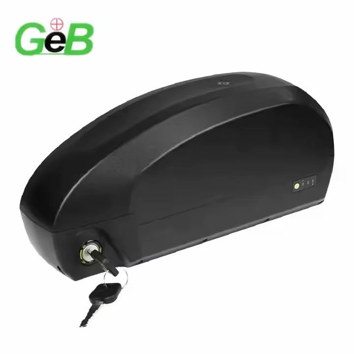 48v 60AH EBIKE BATERIS