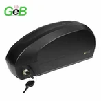 48v 60AH EBIKE BATERIS